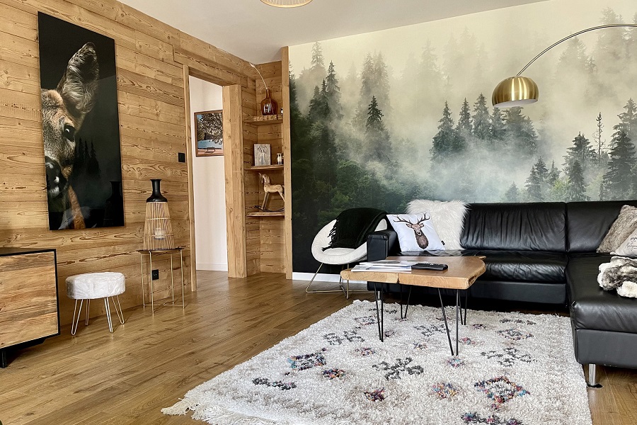 salon deux biches location appartement vosges gerardmer centre ville